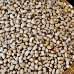 This image has an empty alt attribute; its file name is 1599px-White_Beans_Photographed_by_Trisorn_Triboon-150x150.jpg
